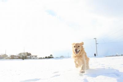 ずーっとあっちまで雪～！！