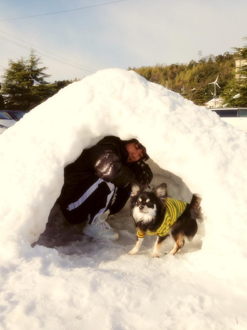 かまくら～～⛄