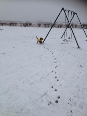 吹雪もへっちゃらな男