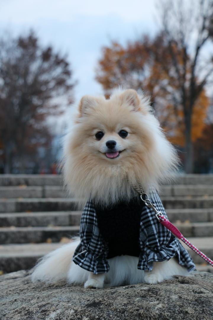 晩秋の公園にて