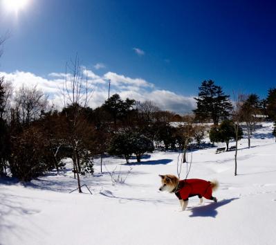 青空💙お日さま✨雪の山❄