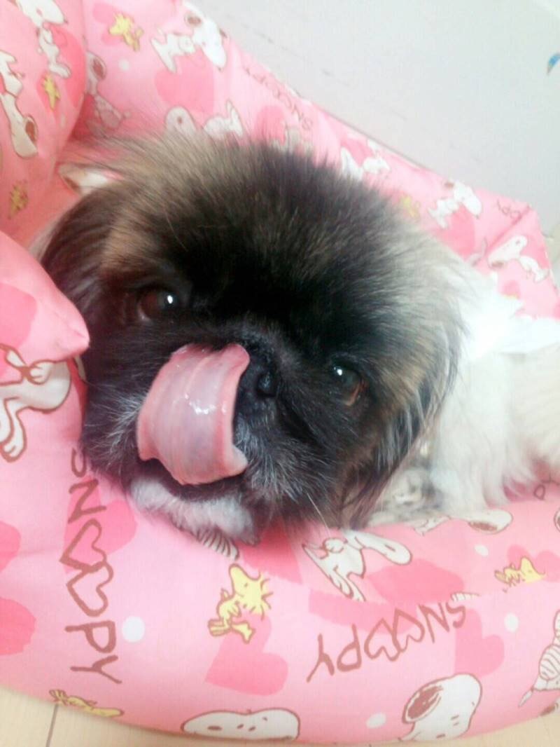 ベロン