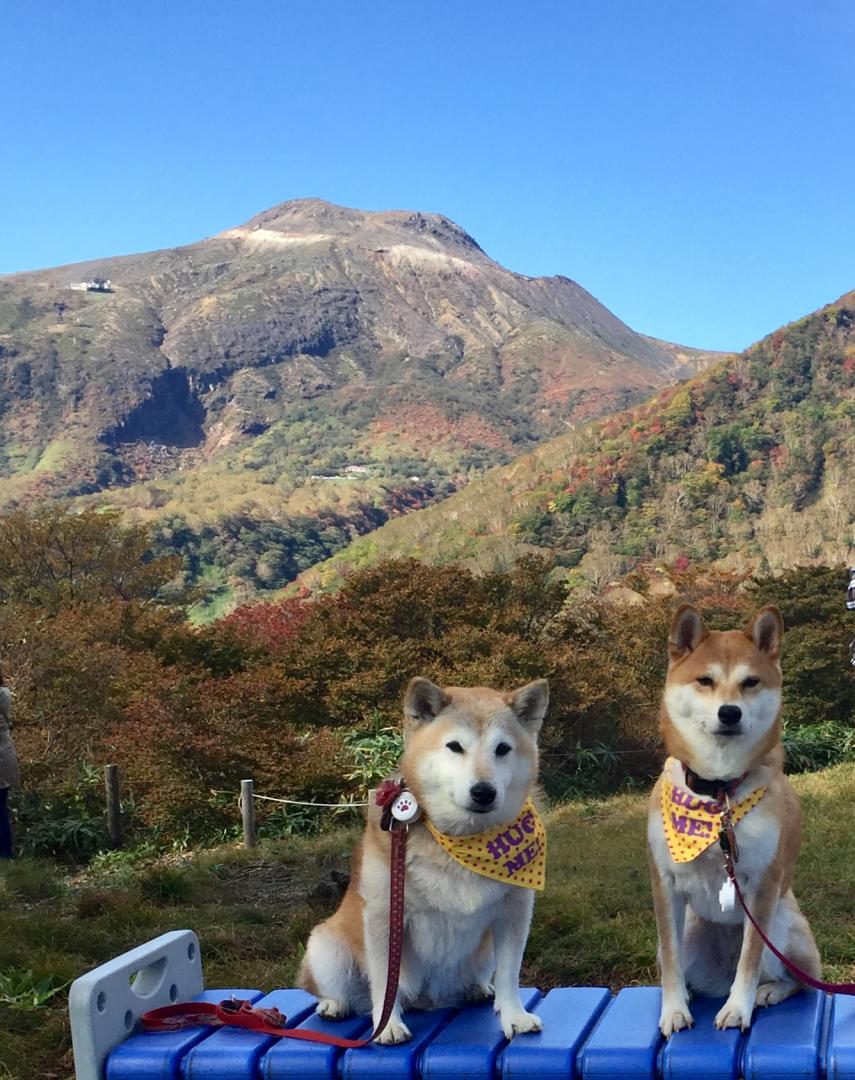 那須高原に行ってきたよ！