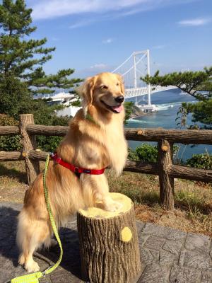 冬の鳴門海峡は最高っ！