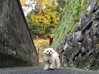 延岡城跡にて