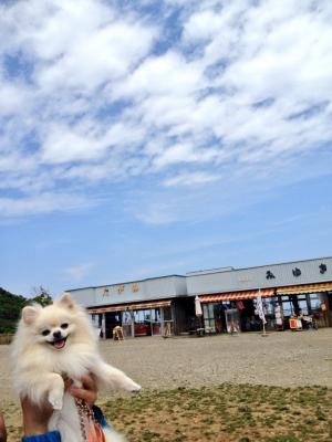 筑波山に登ったよーっ