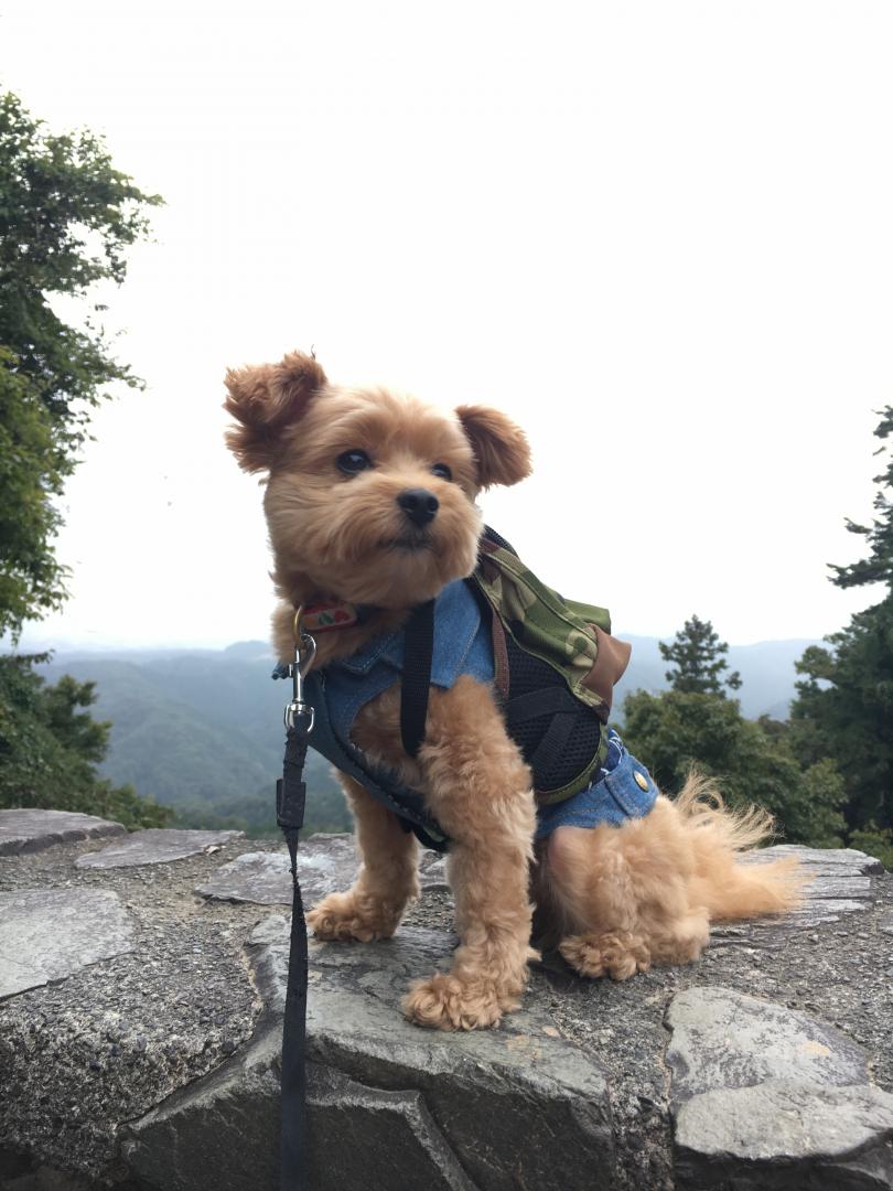 高尾山　大好き★