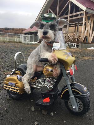 バイクでお出かけ！？