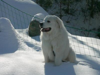 雪最高♪