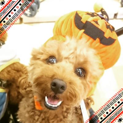 ハッピーハロウィン♡