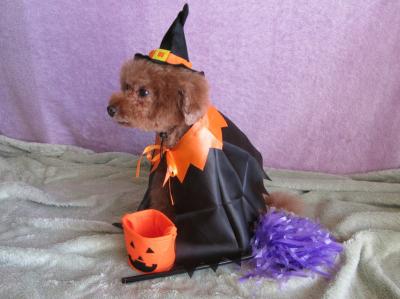 Happy Halloween♪ヽ(´▽｀)/