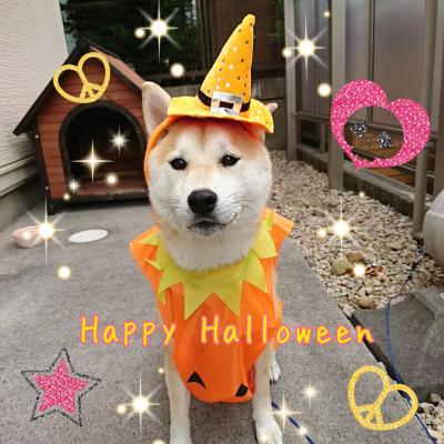 ♡HAPPY HALLOWEEN♡