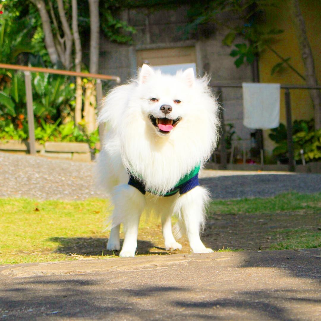 笑顔を、沢山もらいます