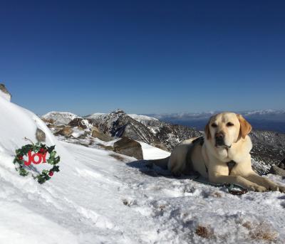 山頂でChristmas