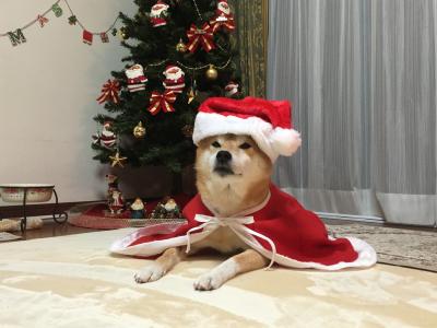 メリークリスマス！！！