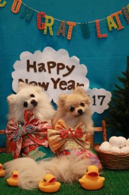 今年も宜しくお願いします♪