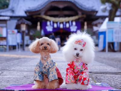 一緒に初詣