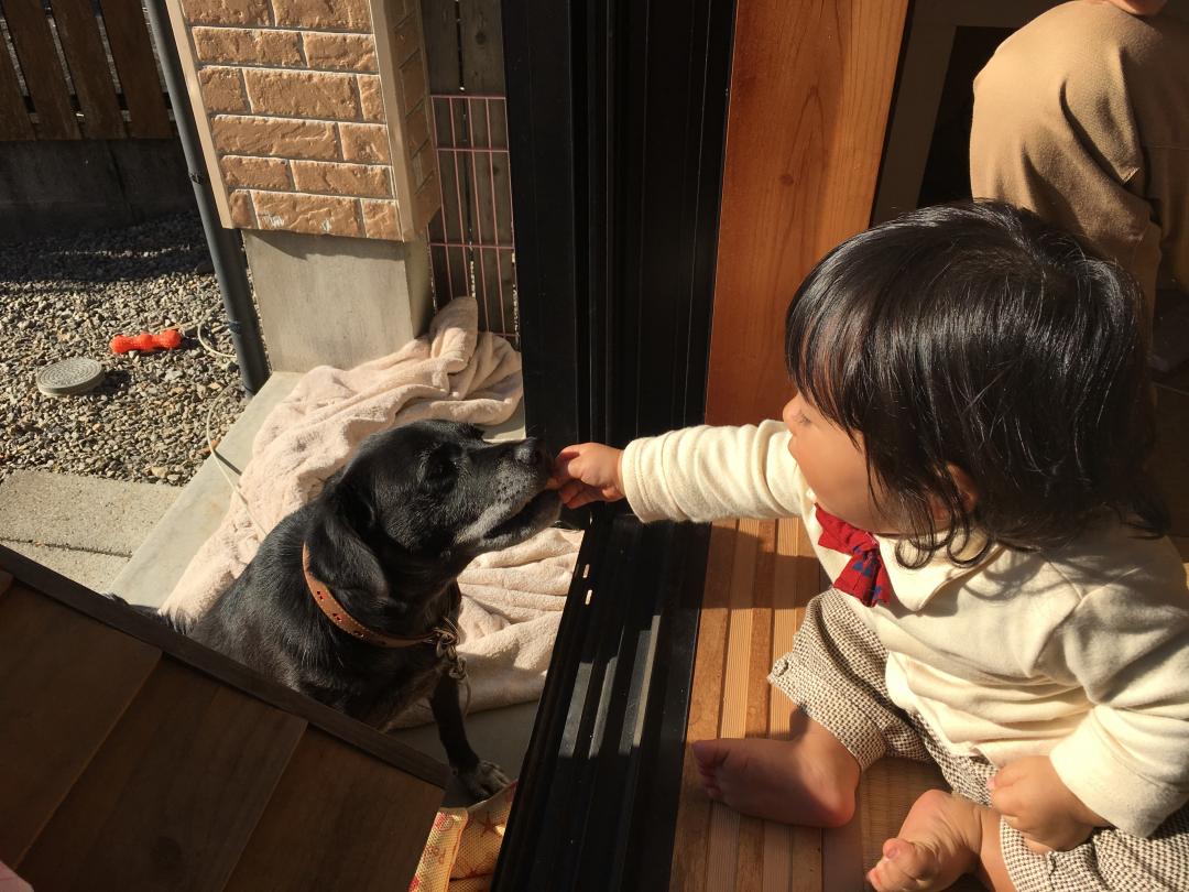 今年こそはコイツと仲良くなってやろう