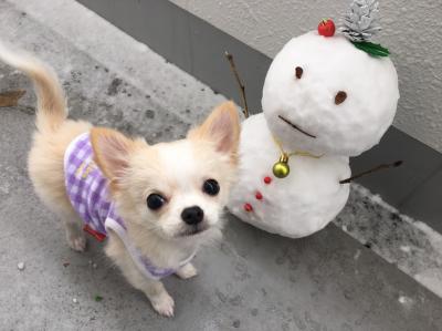 もっと大きな雪だるま作るワン！