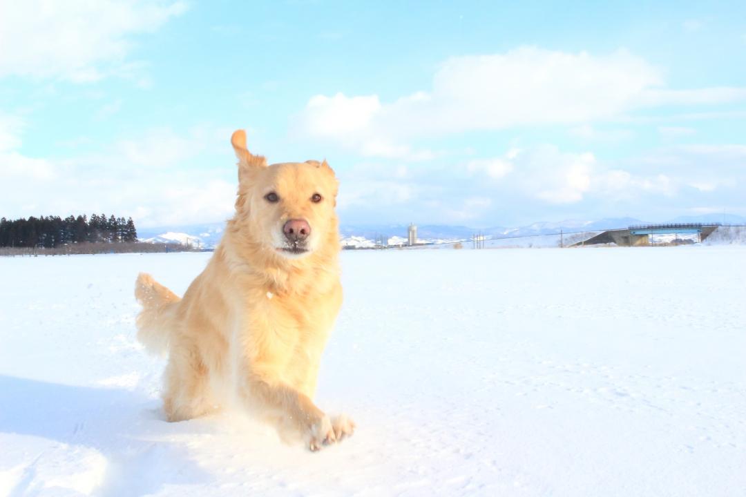 今年こそ！！