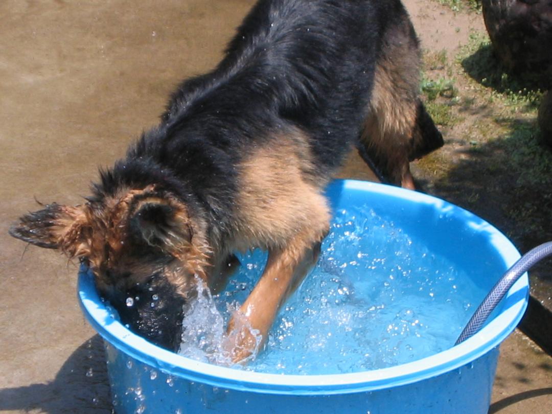 お気に入りの水遊び