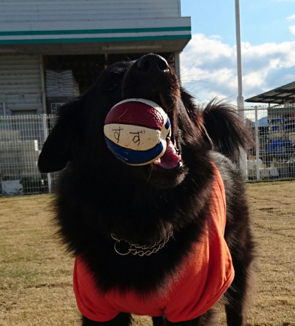 お気に入りのボール⚾