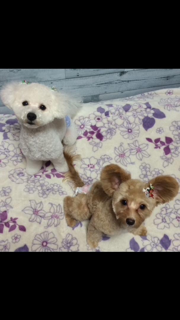 キメ顔☆仲良し兄妹