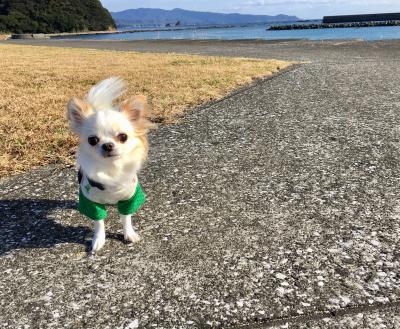 お気に入りの海