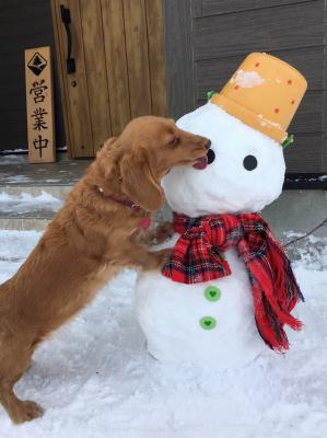 お気に入りの雪だるま