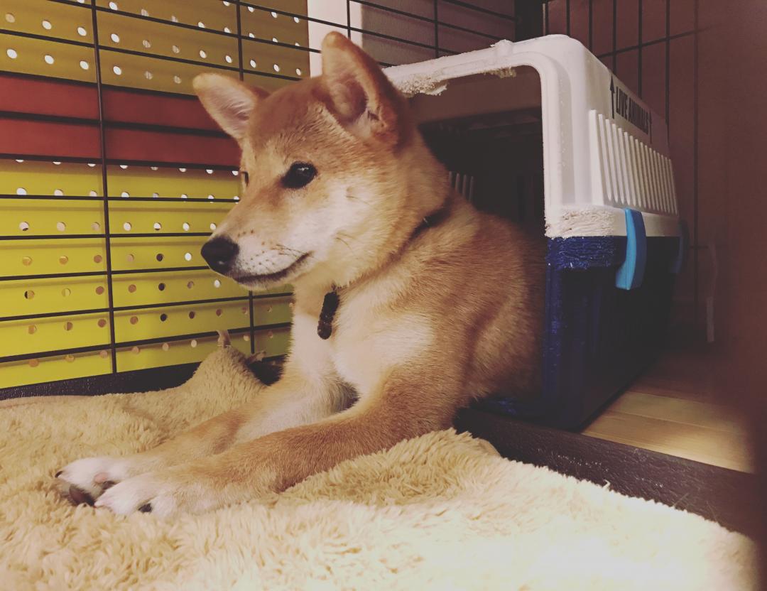 ここが好きです‼