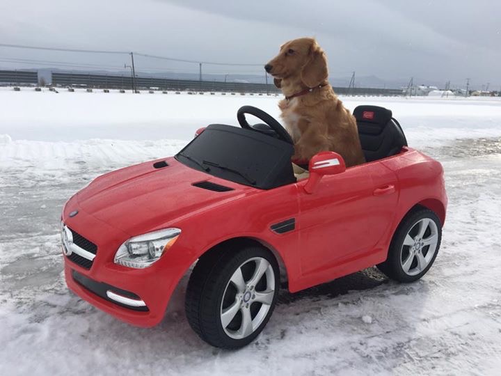 お気に入りのマイカー