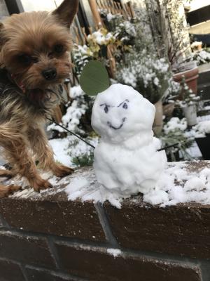 雪だるまつ～くろ～