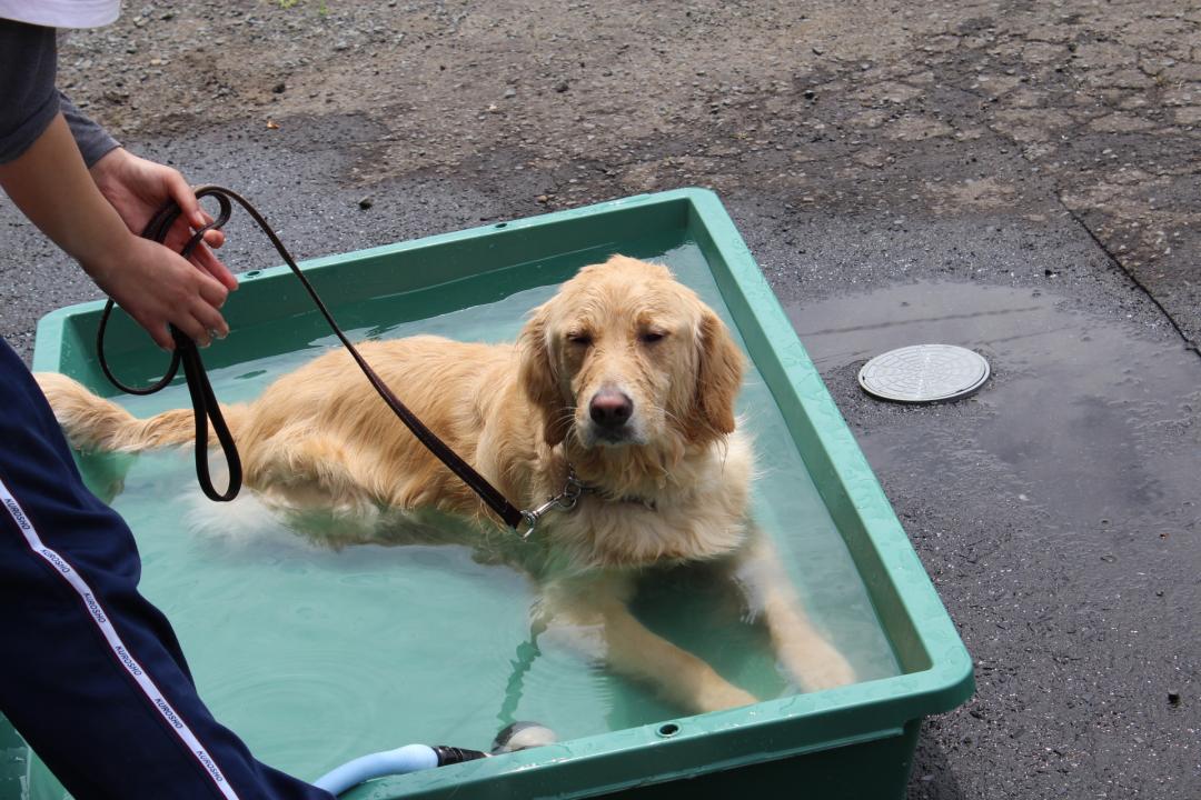 お気に入りの露天風呂～～