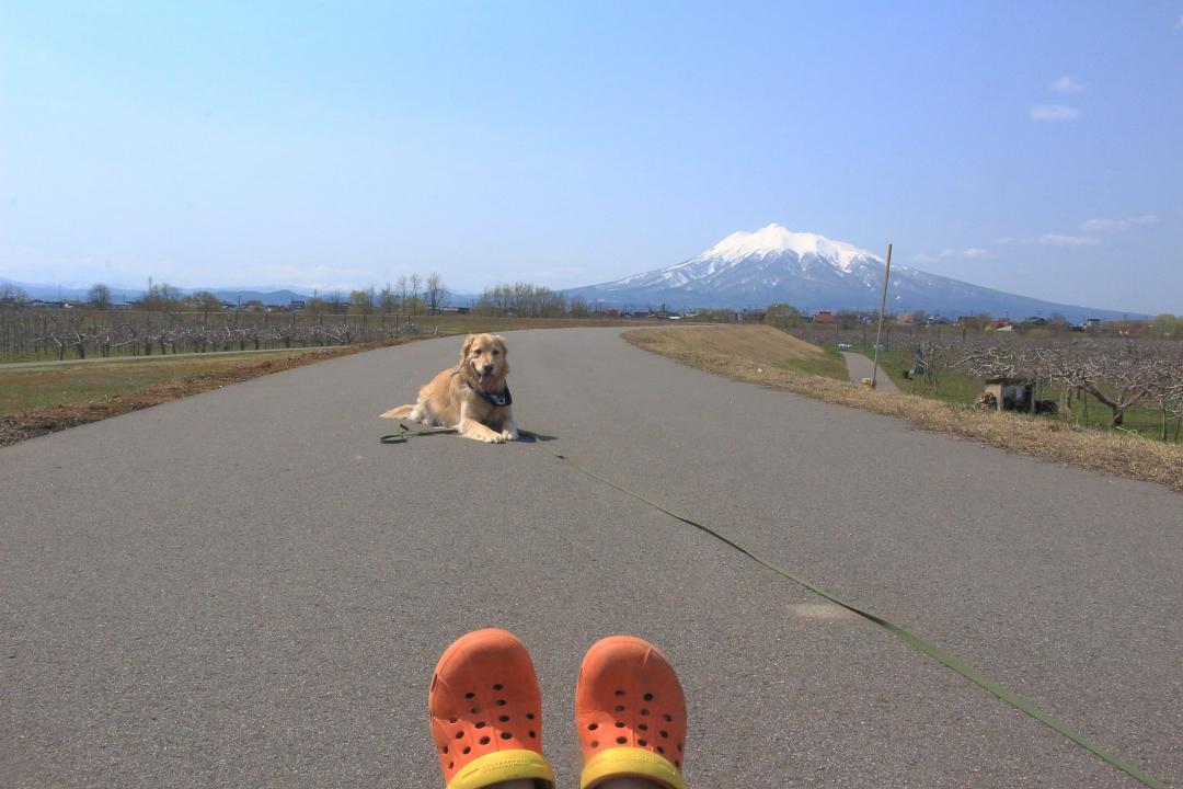 お気に入りの休憩場所