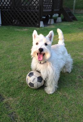 大好きなサッカーボール！