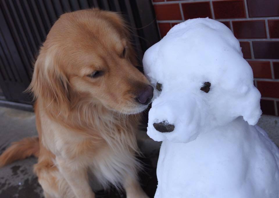 お気に入りの雪の子