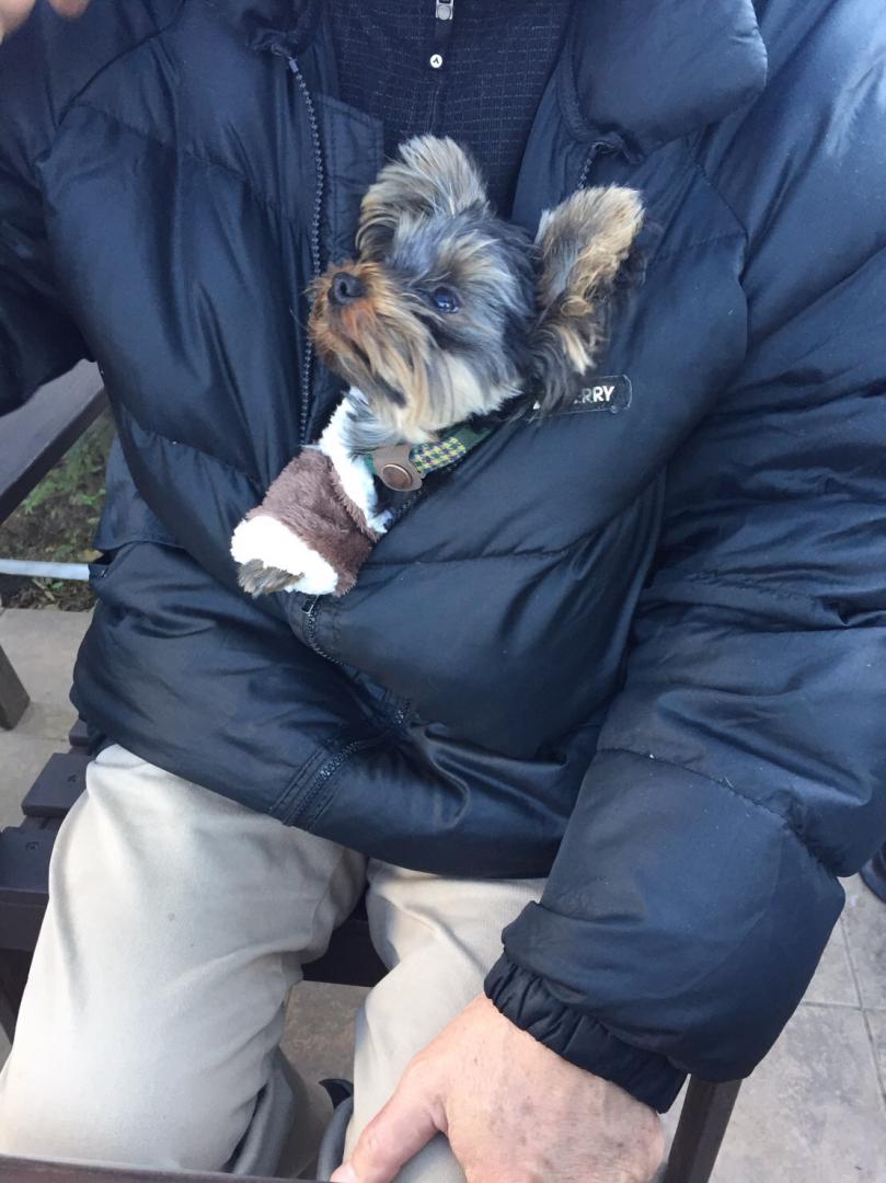 寒いのは苦手なので