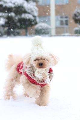 はじめての雪遊び