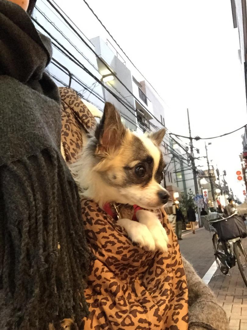 黄昏チーコ