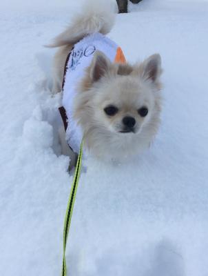 足が埋まっちゃった☆