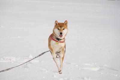 寒いけど、楽しい～