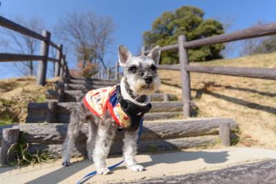 寒空へっちゃら