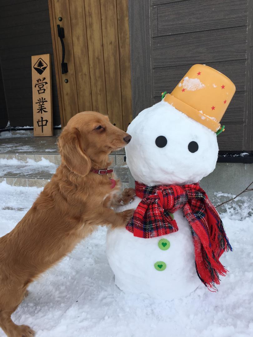 雪だるまさん、ムギュッ