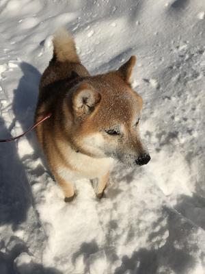 雪でひと遊び★