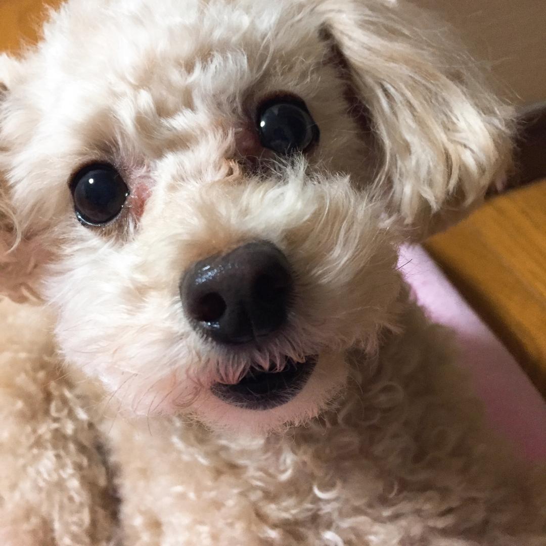 なーにー？