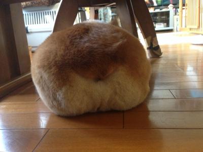まんじゅう
