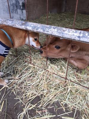 みんなと仲良し(^-^)