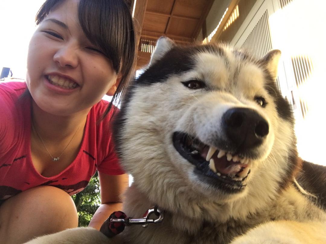 犬だけどウッシッシ