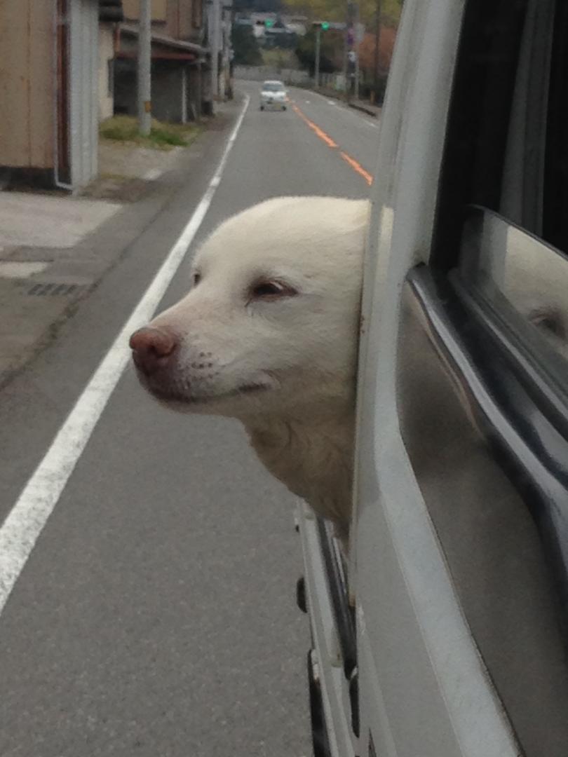 好例のドライブ