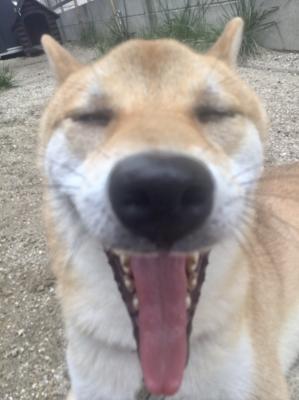 幸せ～☆